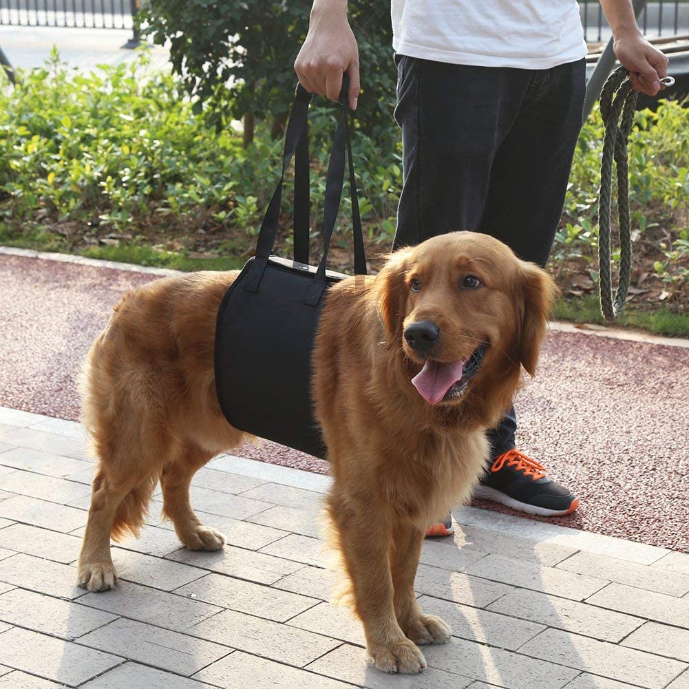  Arnés clásico de elevación para animales mayores o enfermos para ayudarlos a subir o bajar las escaleras o entrar y salir de vehículos 