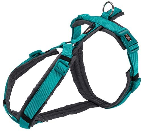  Arnés Trekking NEWPrem,L: 70–85cm/25mm,AzOce-GRAF 