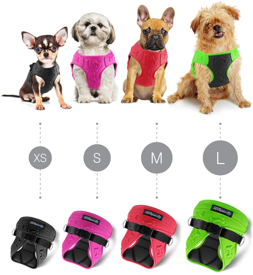  Arneses para Perros pequeños de Comfort Fit Pets, Nuestro Chaleco arnés para Perros pequeños Tiene Acolchado Interior y Exterior Acolchado Que Garantiza Que tu Perro esté cómodo y se despegue. 