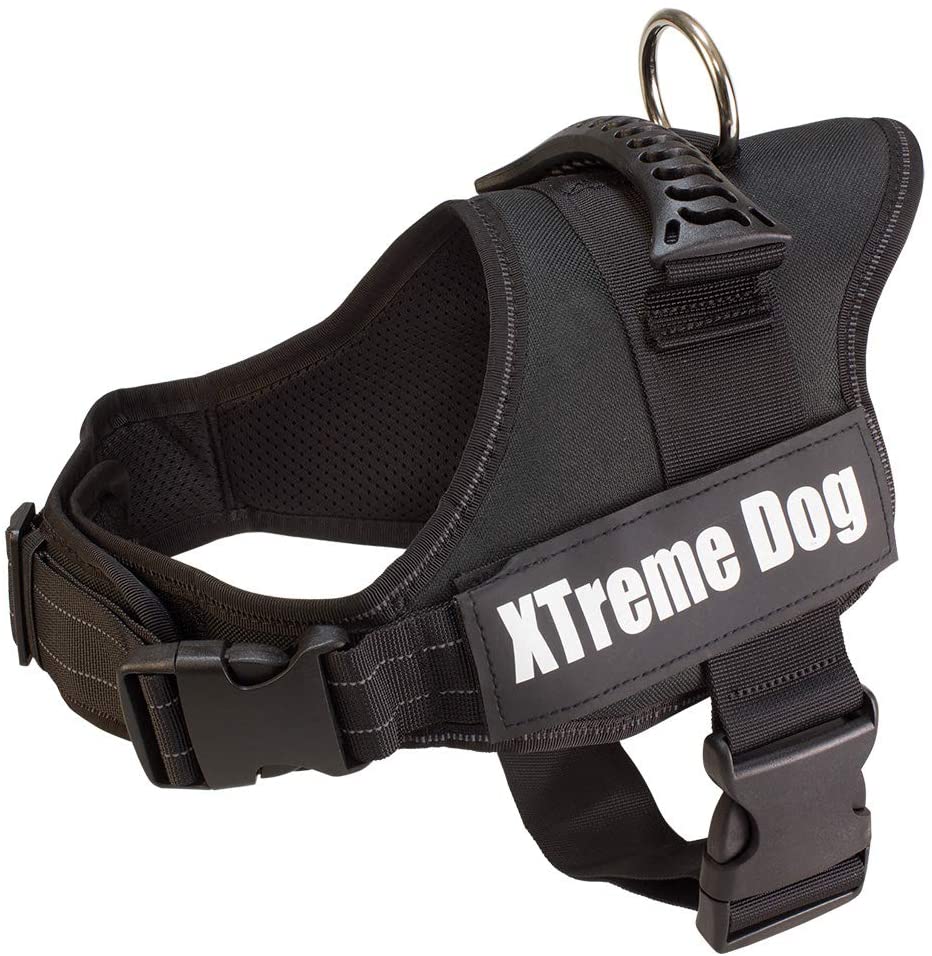  Arquivet 17698 Arnés Xtreme Dog, Negro, XS (44-57 cm) 