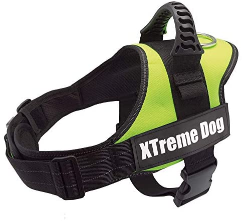  Arquivet 17716 Arnés Xtreme Dog, Verde Neón, XS (44-57 cm) 