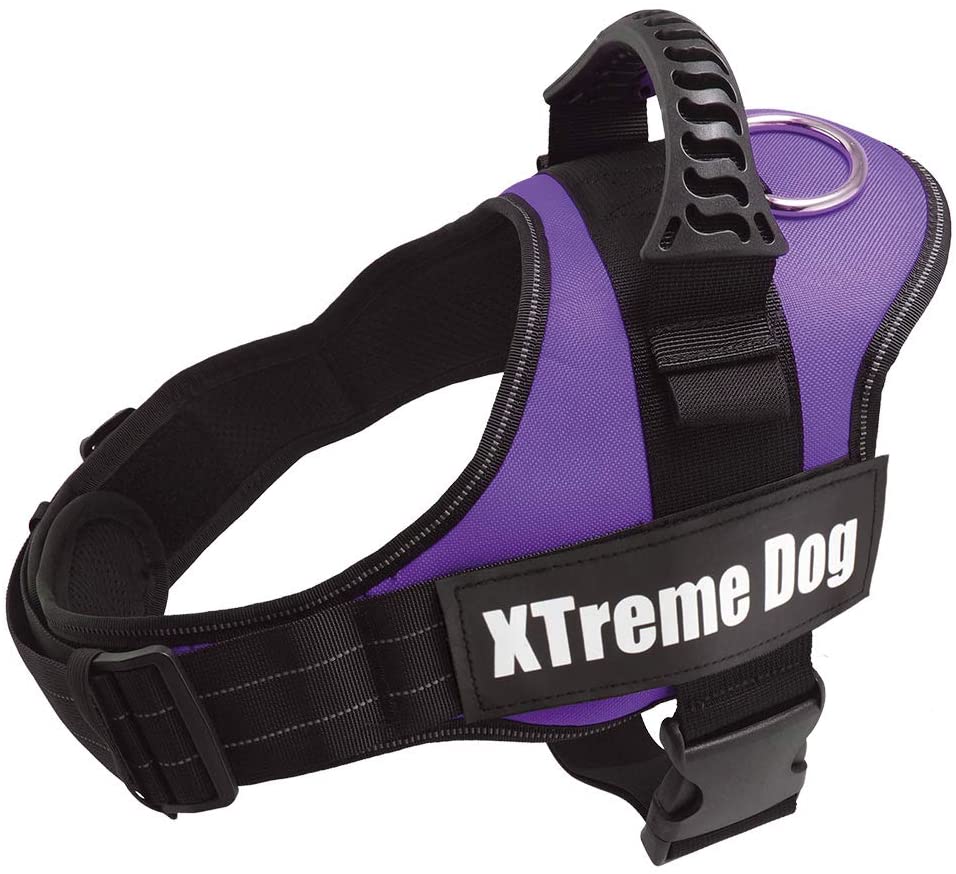  Arquivet Arnés Xtreme Dog, M (61-81 cm) 