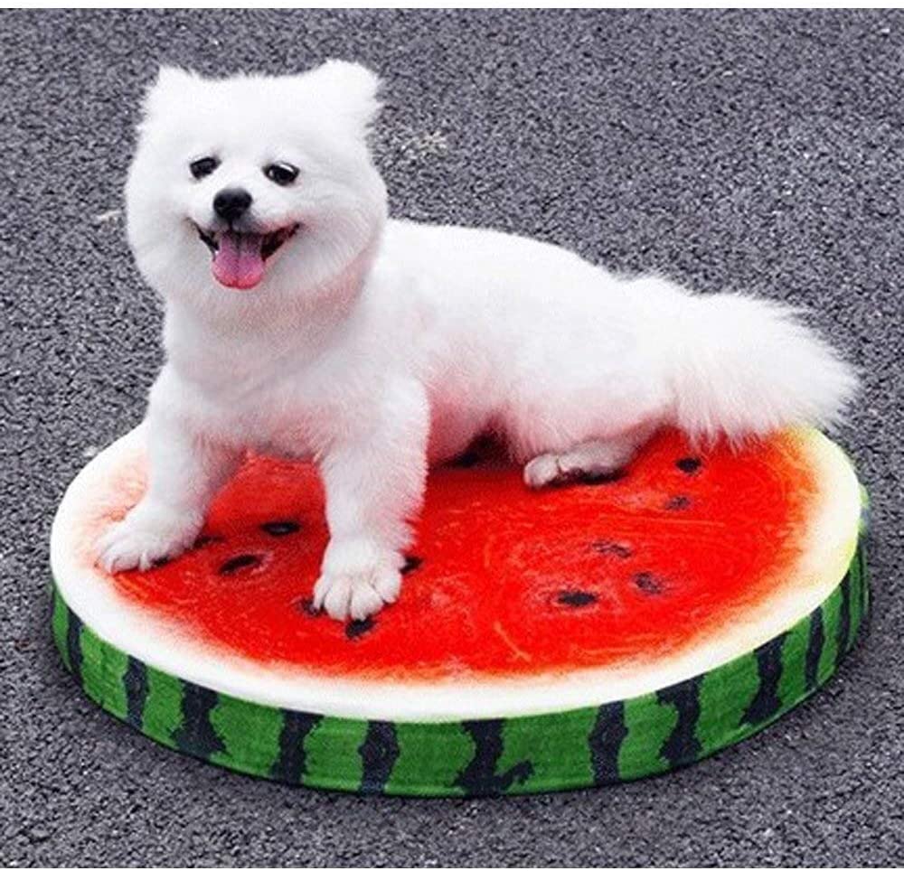  AYWJ Cojín de Colchoneta for Dormir con Patrón de Fruta 3D - Suave y Duradero sin Decoloración Estimula la Piel for Gatos y Perros AIJIEGE 