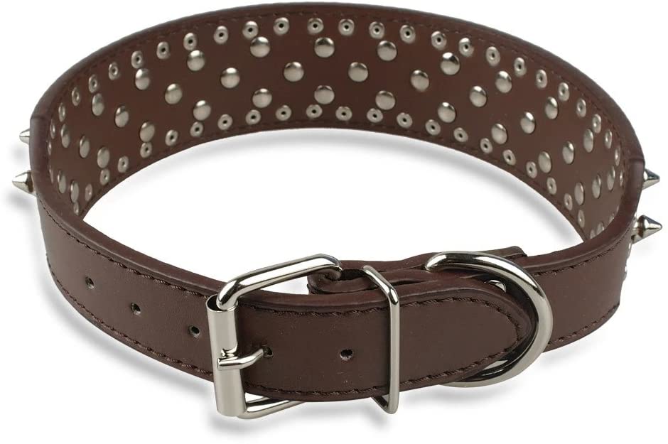  Berry con clavos tachuelas piel collar de perro – 40 bala picos tachuelas – Pet formación y caminar y mostrar apariencia y accesorios | 5 cm de ancho, XS, S, M, L, XL cuello adjustable| morado 