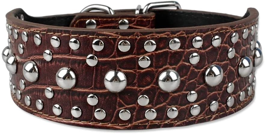  Berry con clavos tachuelas piel collar de perro – 40 seta picos tachuelas – Pet formación y caminar y mostrar apariencia y accesorios | 5 cm de ancho, cuello ajustable 