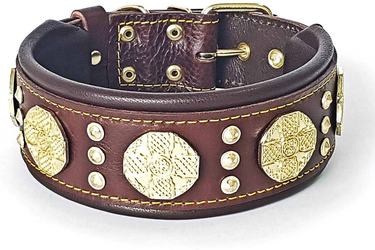  Bestia Collar Maximus para Perros en Cuero Genuino, Razas Grandes, Corso de caña, Rottweiler, Boxer, Bullmastiff, Dogo, 100% Cuero, Tachonado, Talla M- XXL, Ancho 6.3 cm. Acolchado. Hecho a Mano 