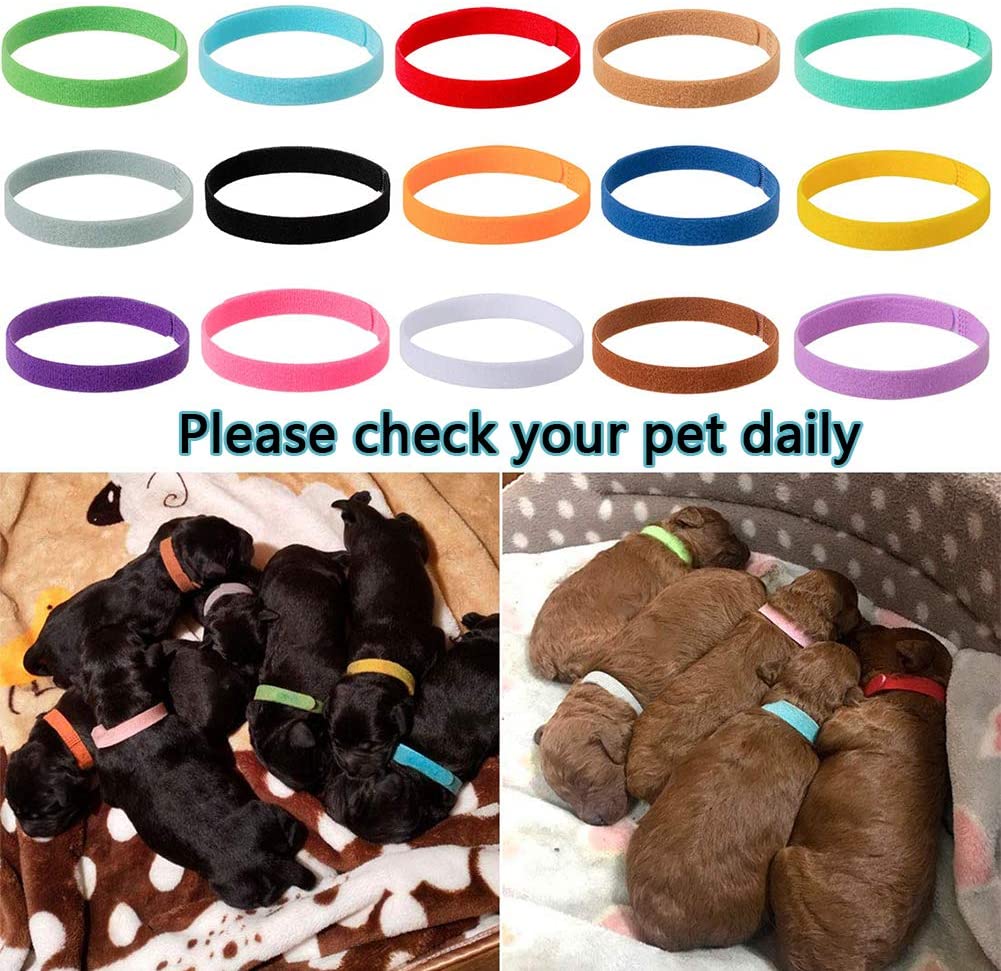  BETOY15 pcs Collares Cachorro – Collares de Identificación para Cachorro Gatito ID Bandas Ajustables,Identifica el Collar,ID Bandas Ajustable para Mascota Perros Gatos Recién Nacido 