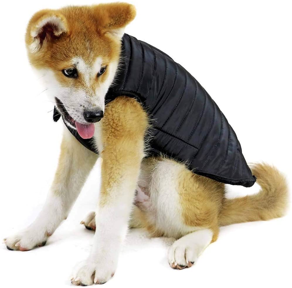  biozoo, Anorak Igloo para Perros (Negro) - Talla 24 