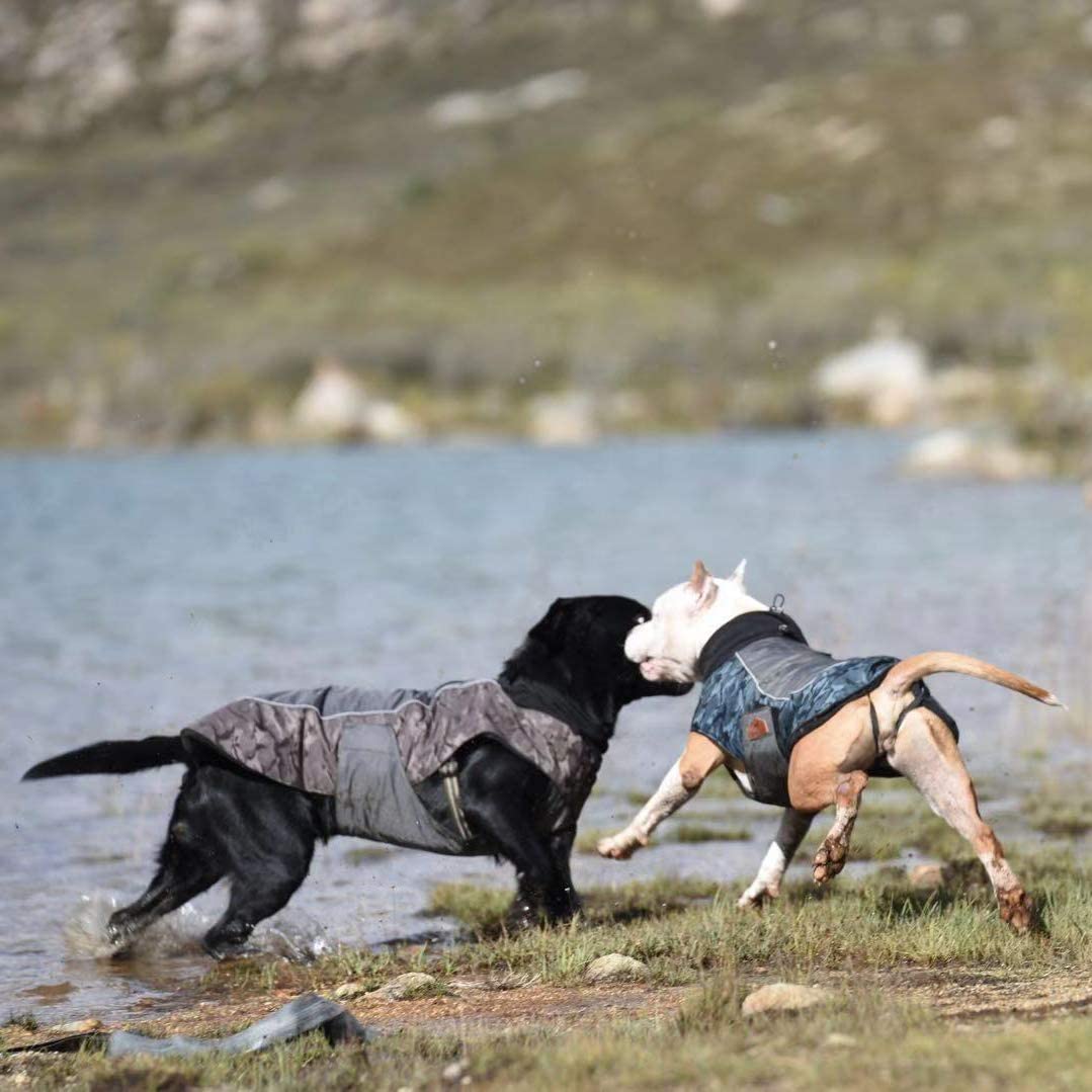  BLACKDOGGY Back Doggy impermeable reflectante Perros Chubasquero, nailon Fieltro, perros Chaleco para perros pequeños, medianos y grandes, Azul, XS 