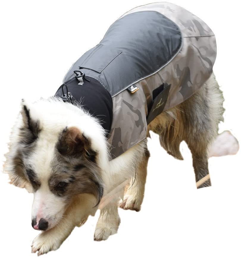  BLACKDOGGY Back Doggy impermeable reflectante Perros Chubasquero, nailon Fieltro, perros Chaleco para perros pequeños, medianos y grandes, Azul, XS 