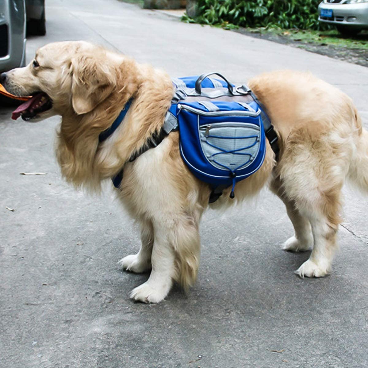  Bolso de la Silla de Montar de la Mochila de Las alforjas del Perro casero del Animal doméstico para Caminar Que acampa del Viaje (Color : Azul, Size : M) 