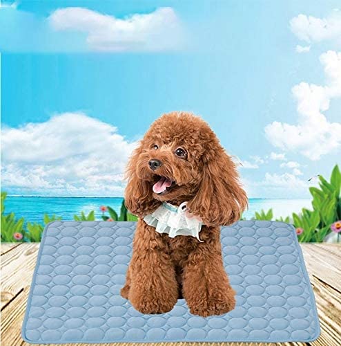  Camas para mascotas, Refrigeración estera del cojín, for Perros Gatos hielo Mat Seda de enfriamiento del amortiguador de la manta for Kennel Sofá cama en el suelo, Tamaño: 70x56cm ( Color : Blue ) 