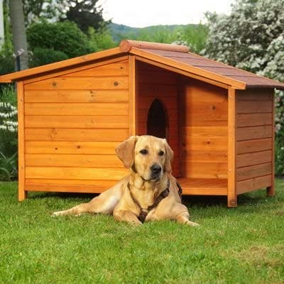  Caseta de perro de madera Resistente y atractiva caseta de madera de exterior con patio resguardado, crea un hogar especial para tu mascota. 