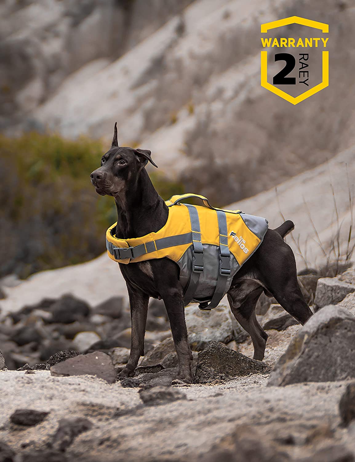  Chaleco salvavidas para perros chaleco salvavidas para mascotas chaleco salvavidas para mascotas tamaño ajustable salvavidas para perros reflectante de seguridad chaleco salvavidas con mango 