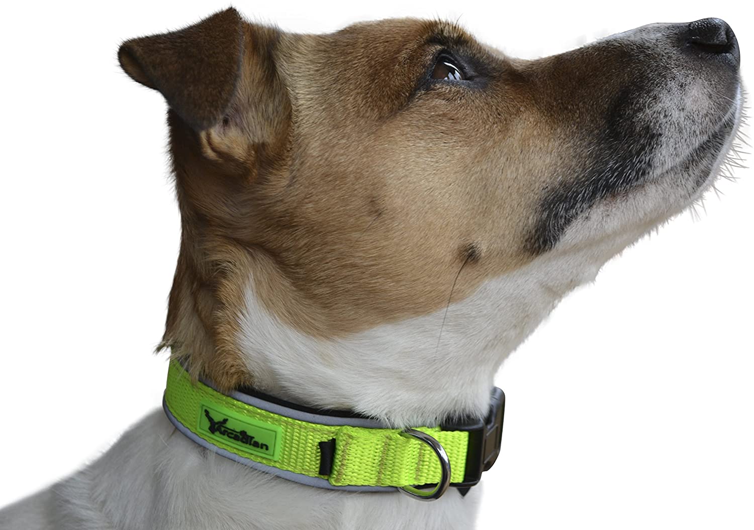  Collar para perro de primera con almohadilla suave de neopreno por Arcadian – Disponible en increíbles azul y rojo, estos collares son cómodos, duraderos, reflectantes y resistentes al agua. Ajustable y adecuado para todas las razas. Disponible 