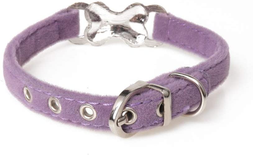  Collares para Perros,Rhinestone Púrpura Flocado Hueso Cachorro Caballero Collar Suave Collar De Perro Mascota Seguro para Todas Las Estaciones Transpirable Suave Acolchado Ligero Acogedora Piscina Ca 