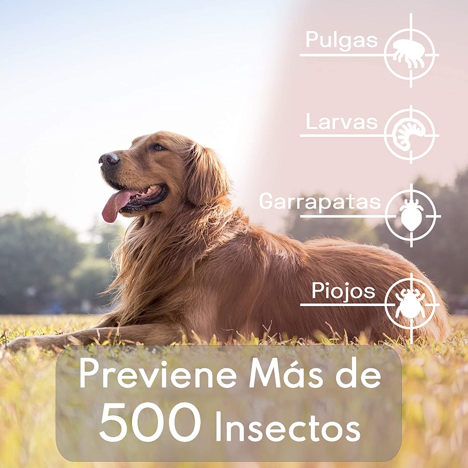  Cyelk Collar Antiparasitos Perro, contra Garrapatas y Pulgas, Collar Antipulgas Perro Natural Hipoalergénicos para Mascota Pequeño Mediano Grande 