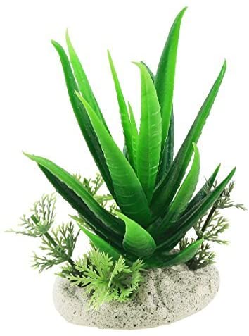  DealMux 3 De delige Plastic Acuario gesimu leerde planten, 4.3 pulgadas, aloë Vera Green 