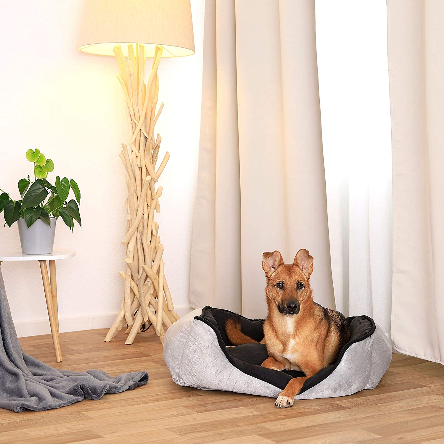  Dibea Cama Perros 2 En 1 Cojín Perros Sofá Perros Tamaño (M) 80X60 Cm Negro-Gris, M, Negro-Gris 1700 g 