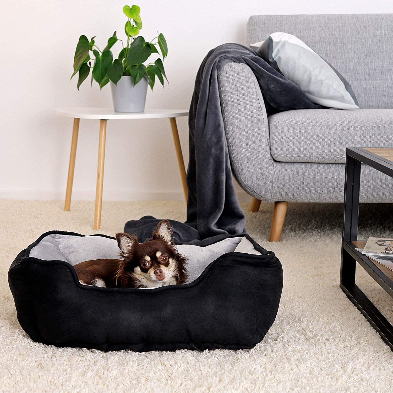  Dibea Cama Perros 2 En 1 Cojín Perros Sofá Perros Tamaño (S) 60X50 Cm Negro-Gris, S, Negro-Gris 1000 g 