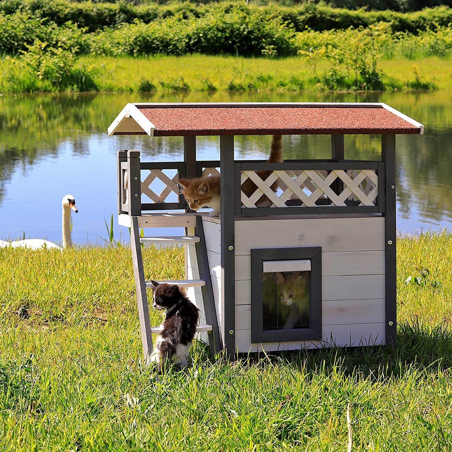  Dibea - Caseta para Gato (Madera, 77 x 50 x 73 cm), con terraza y Escalera 