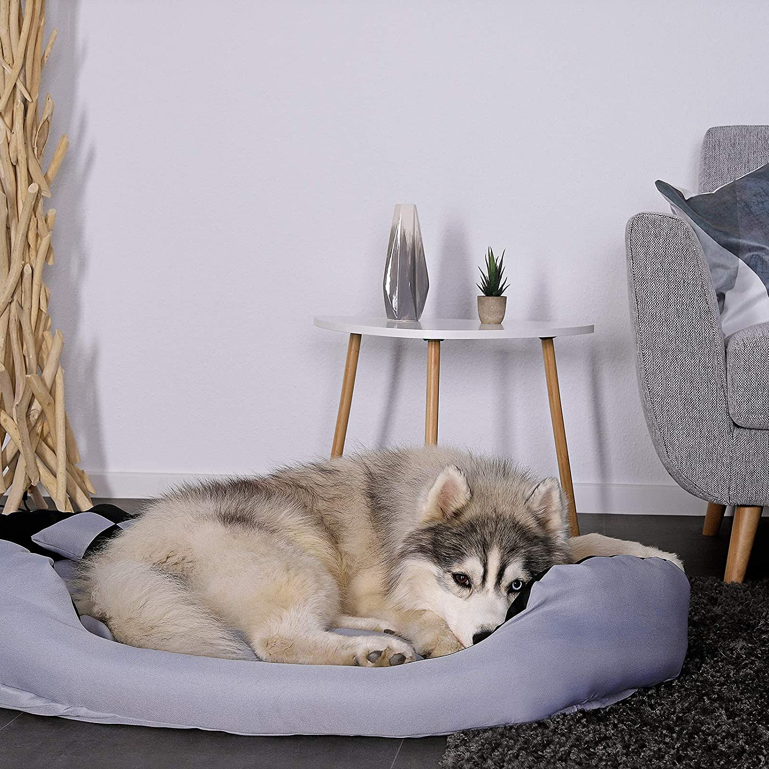  Dibea DB00311 - Cama para Perros (Lavable, con cojín Reversible, 85 x 70 x 20 cm), Color Negro y Gris 