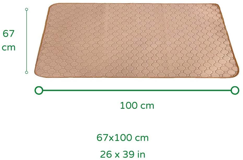  DISANE EMPAPADOR PERRO LAVABLE Y REUTILIZABLE 100 x 67cm BEIGE | Empapadores para perros y gatos lavables a máquina respetuosos con el medio ambiente | Entrenamiento Cachorros, Mascotas Convalecientes 