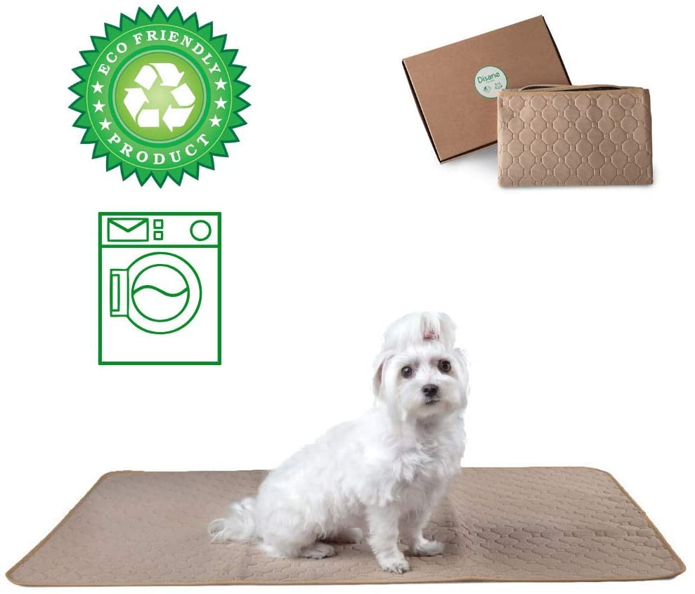  DISANE EMPAPADOR PERRO LAVABLE Y REUTILIZABLE 100 x 67cm BEIGE | Empapadores para perros y gatos lavables a máquina respetuosos con el medio ambiente | Entrenamiento Cachorros, Mascotas Convalecientes 