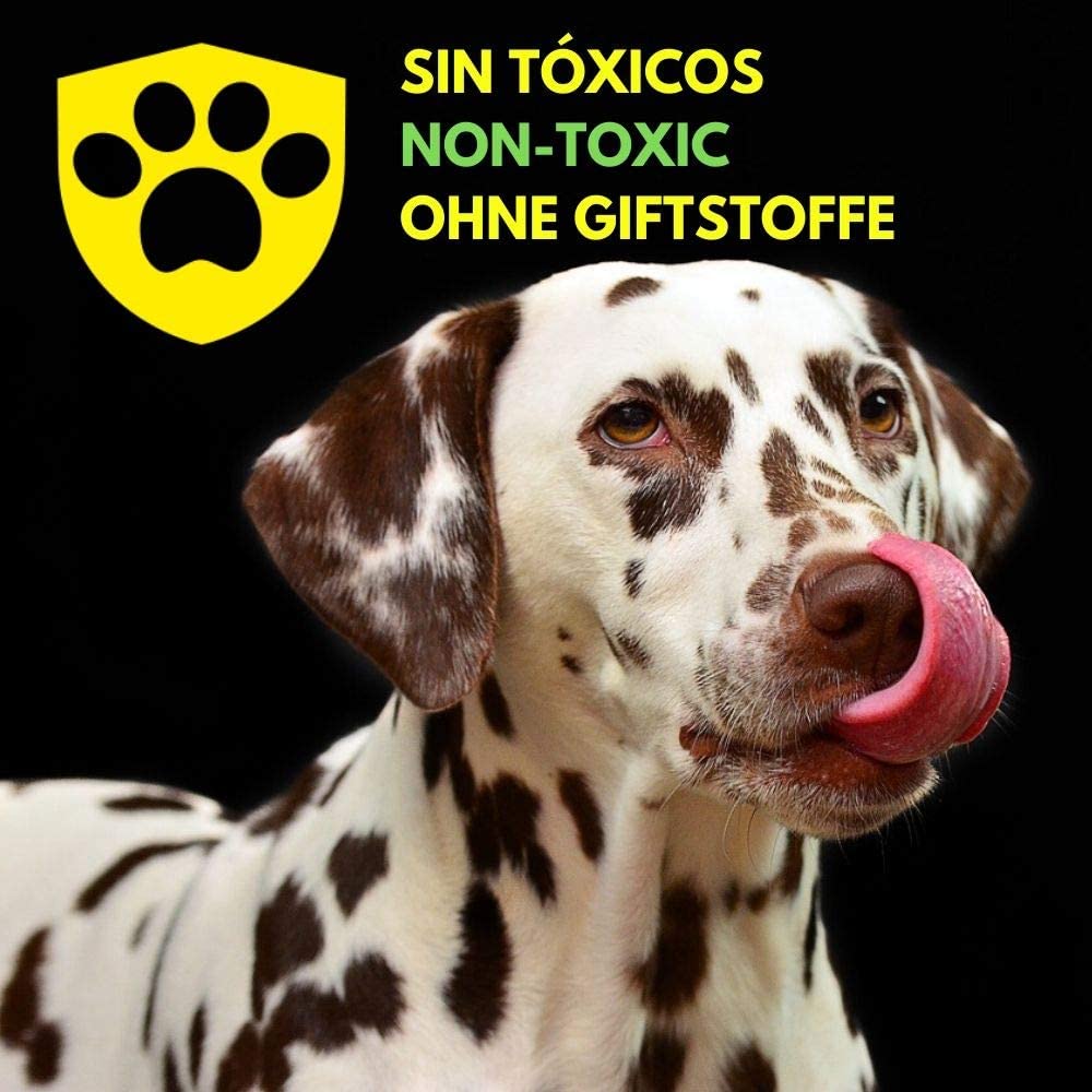  DISANE Pipetas Antiparasitarias para Perros 100% Naturales | 4 Uds | 4 Meses de Protección Contra Insectos y Parásitos: Pulgas, Garrapatas y Mosquitos | Antipulgas Sin Toxicidad para el Perro 