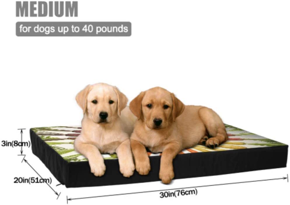  Dog Bed Waterproof Washable Carrots Variety Vegetables Vegetable Veggie Plants Dog Beds Medium Dog Washable Mat Waterproof 76 X 51 X8cm with Zipper Removable Cover For Dogs & Cats 