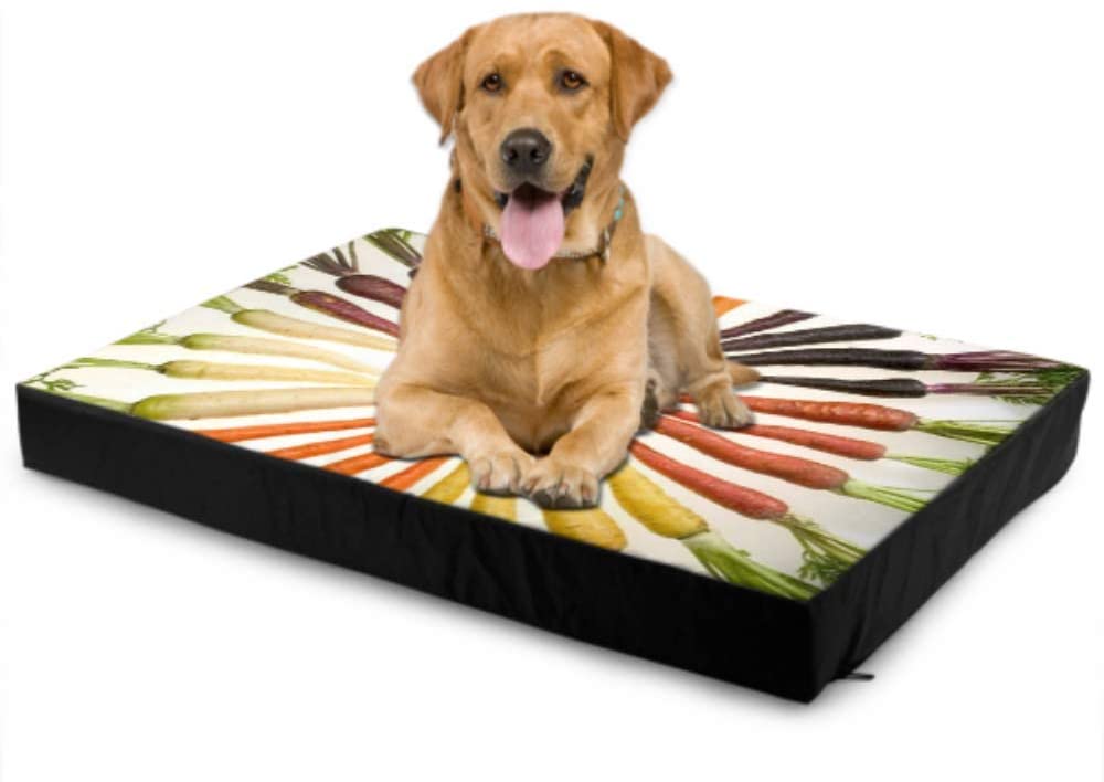  Dog Bed Waterproof Washable Carrots Variety Vegetables Vegetable Veggie Plants Dog Beds Medium Dog Washable Mat Waterproof 76 X 51 X8cm with Zipper Removable Cover For Dogs & Cats 