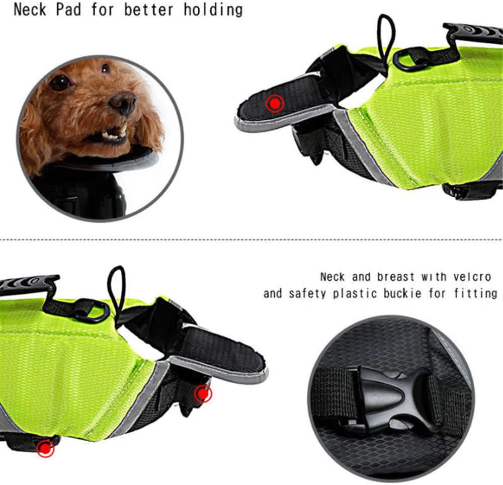  Doglemi - Chaleco Salvavidas Impermeable para Perro, Ideal para el Verano y el Invierno 