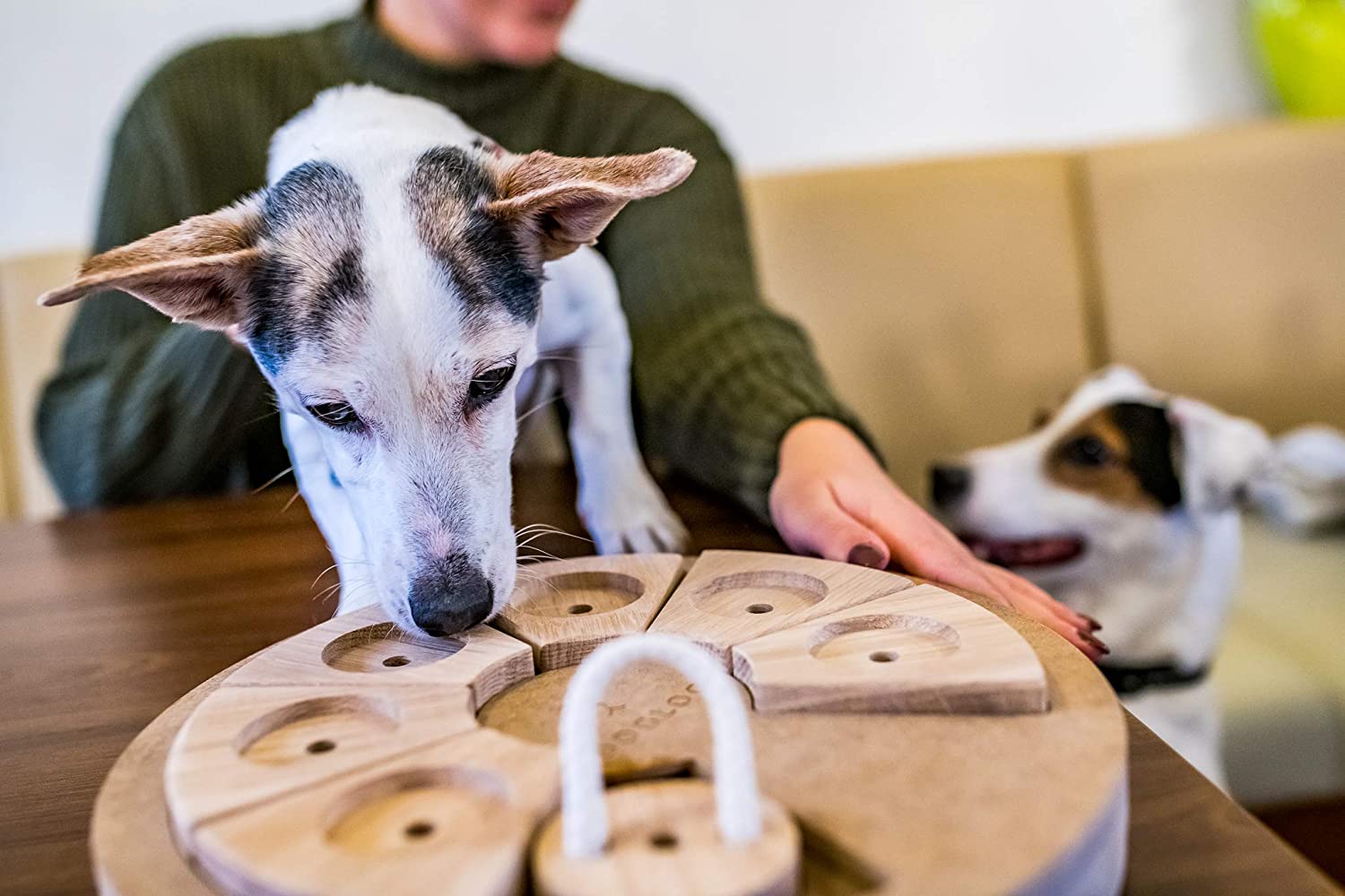  DOGLOG - Juguete para Perros con Forma de Pizza, Juguete de Inteligencia para Perros, Juego de Pensamiento para Perros, sin ftalatos tóxicos 