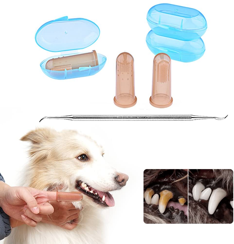  DryMartine Juego de limpieza dental para perros y gatos, cepillo de dientes para mascotas (3 piezas) + cabezal doble para perro con diseño de calculo, herramienta para quitar rascadores (1 pieza) 