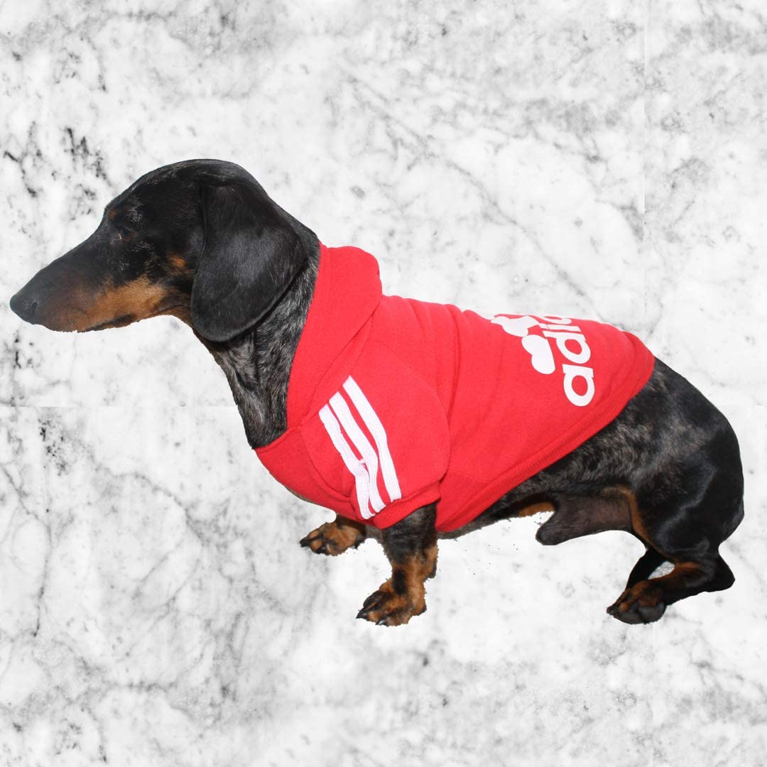  Ducomi Adidog - Sudadera con Capucha para Perros en Algodón Suave - Costuras Resistentes - Disponibles de XS a 8XL - Se envía Desde España (5XL, Rojo) 