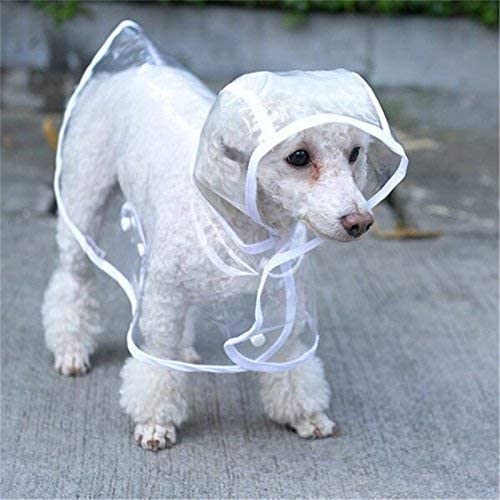  Ducomi Dogalize – Impermeable con Capucha de Nailon Transparente para Perro – Abrigo Impermeable Modelo Poncho para Perros 