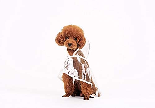  Ducomi Dogalize – Impermeable con Capucha de Nailon Transparente para Perro – Abrigo Impermeable Modelo Poncho para Perros 