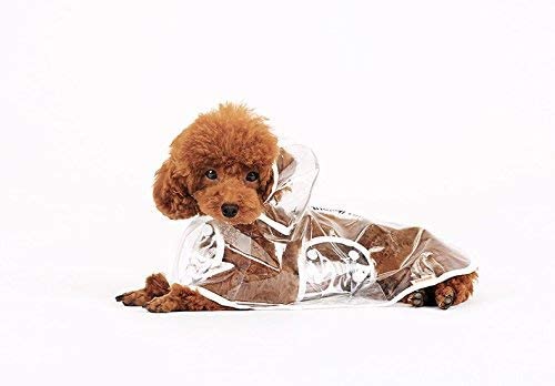  Ducomi Dogalize – Impermeable con Capucha de Nailon Transparente para Perro – Abrigo Impermeable Modelo Poncho para Perros 