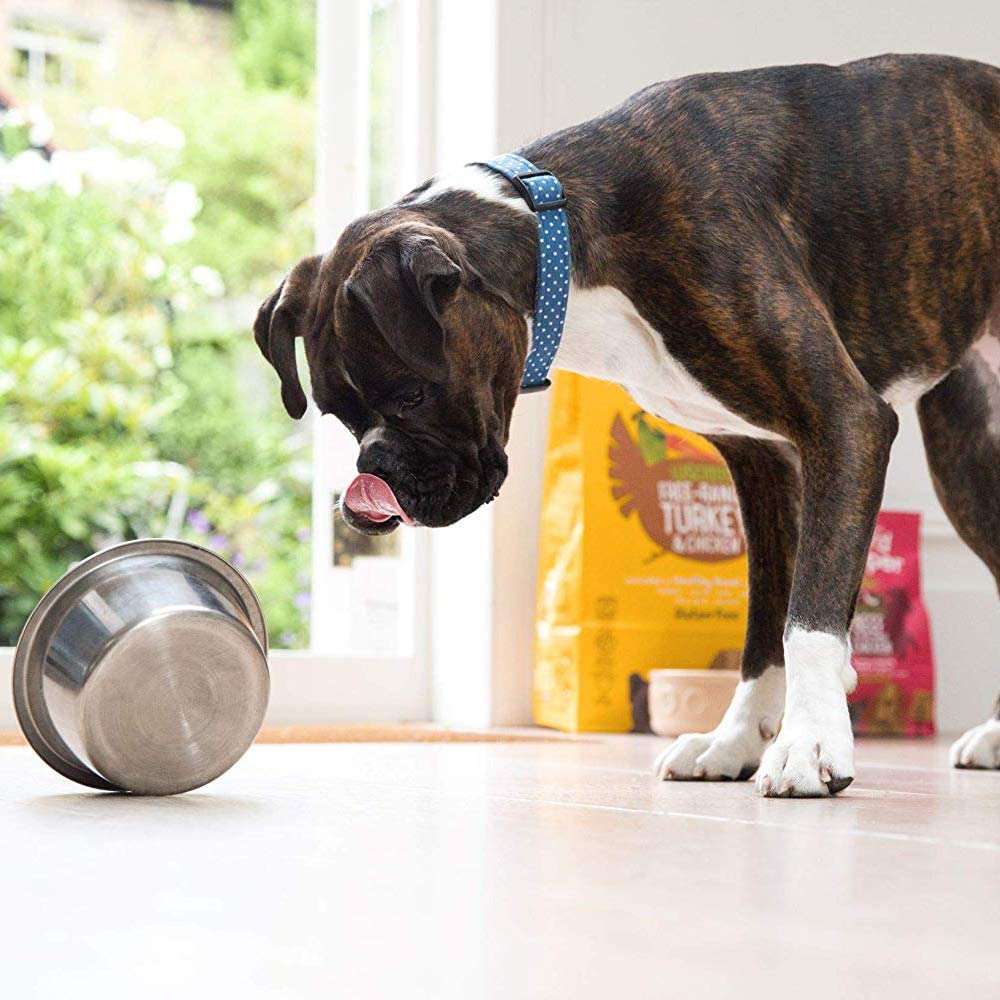  Edgard & Cooper pienso para Perros Adultos sin Gluten, Natural con Pavo y Pollo de Granja ecológicos, Comida balanceada sin harinas de Carne ni Carnes sobreprocesadas, cocinada a Fuego Lento (7 kg) 