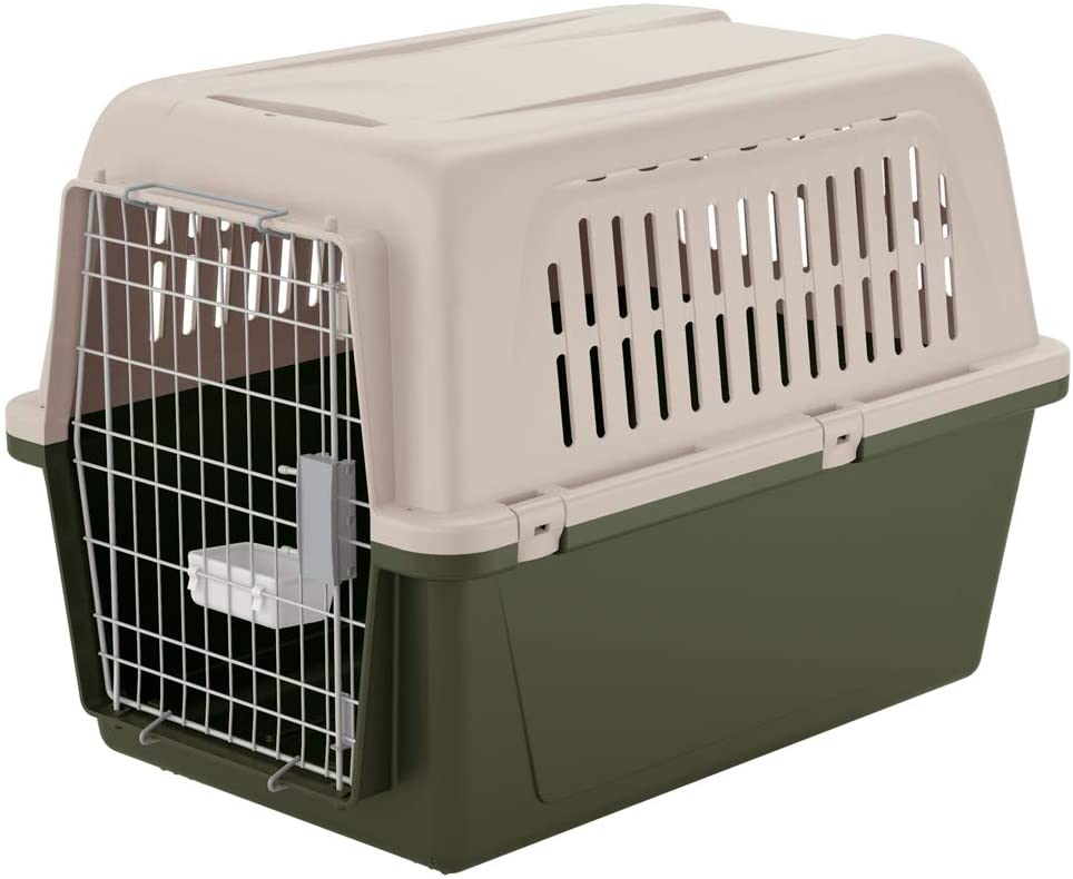  Ferplast Transportín para Perros Grandes Atlas 60 Classic, con comedero Incluido, Puerta de Acero plastificado, Cierre de Seguridad, Rejillas de ventilación, 61 x 91 x h 66,5 cm Verde 