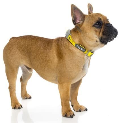  FuzzYard Monkey Mania - Collar para Perro, Talla S, Color Amarillo 