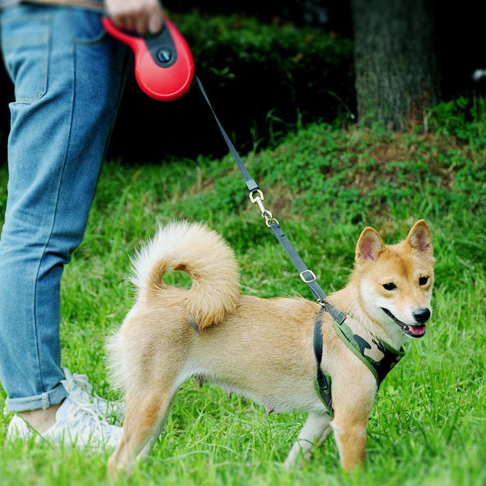  Galaxer Correa para Perros, 5M Mascota Correa Retractil de Nylon para Perro Correa Extensible con un Botón de Rotura y Bloqueo y Cómodo Agarre de la Man para Entrenar a Pie o Trotar 