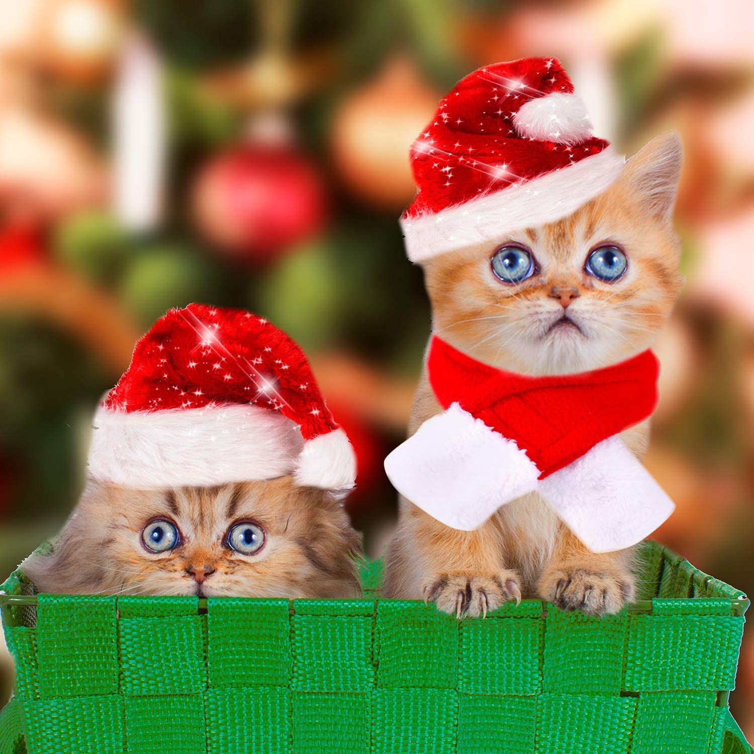  Gorra de Papá Noel de Navidad Ajustable de Mascotas, Capa, Bufanda y Collar de Pajarita Disfraz de Navidad para Cachorro Gatito Gatos Pequeños Perros Mascotas 