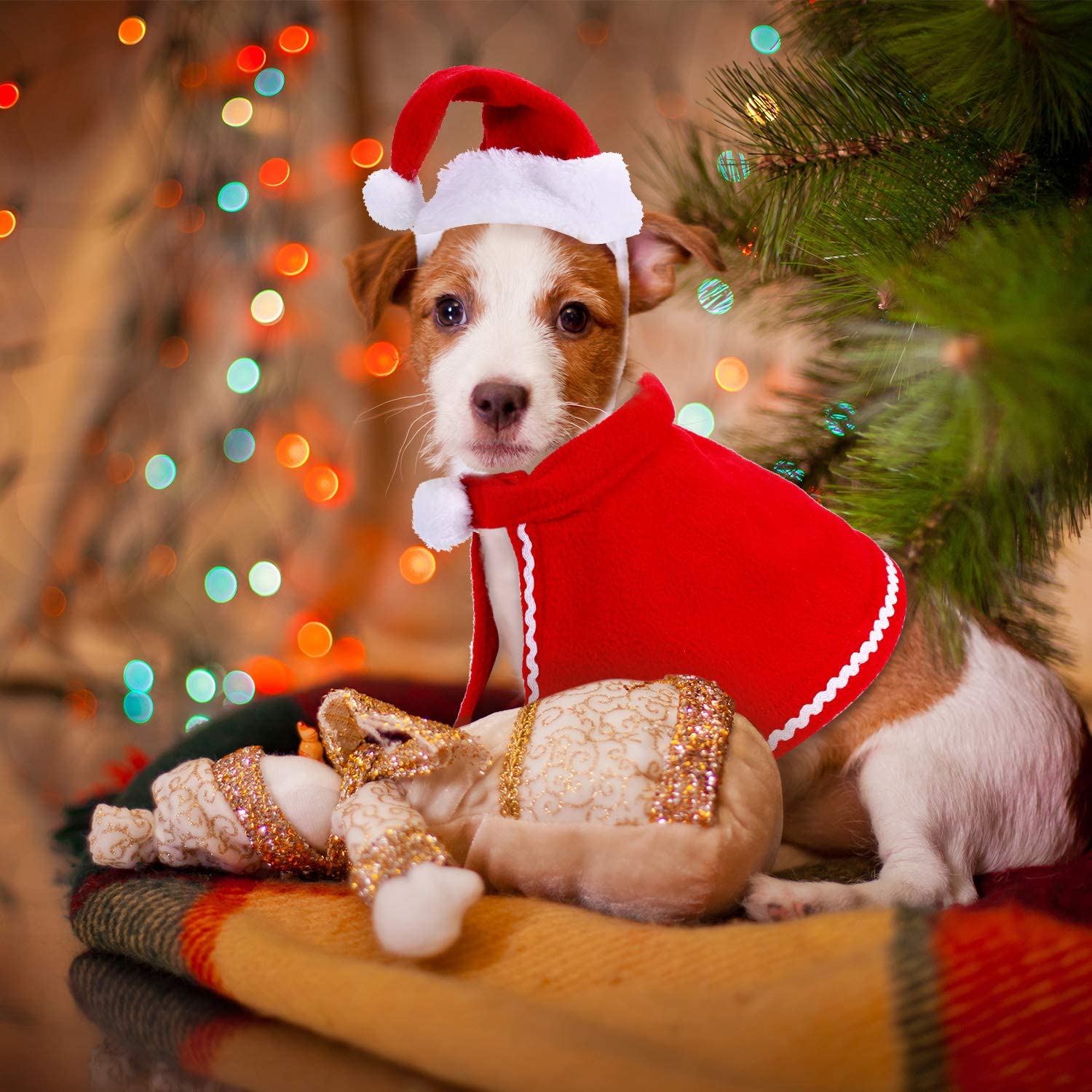  Gorra de Papá Noel de Navidad Ajustable de Mascotas, Capa, Bufanda y Collar de Pajarita Disfraz de Navidad para Cachorro Gatito Gatos Pequeños Perros Mascotas 