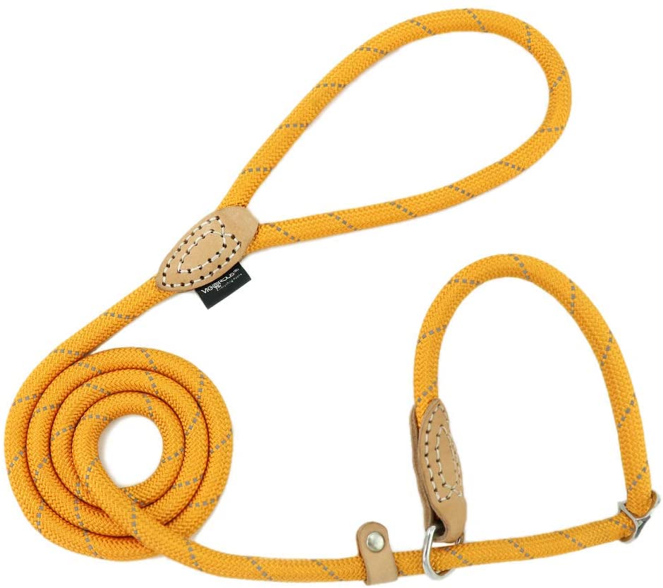  Grand Line Correa Ajustable Cuerda de Nylon para Perros y Gatos Pequeños, Medianos, Grandes y Extra Pesados Ideal para Entrenamiento Corriendo- 150cm, Naranja 