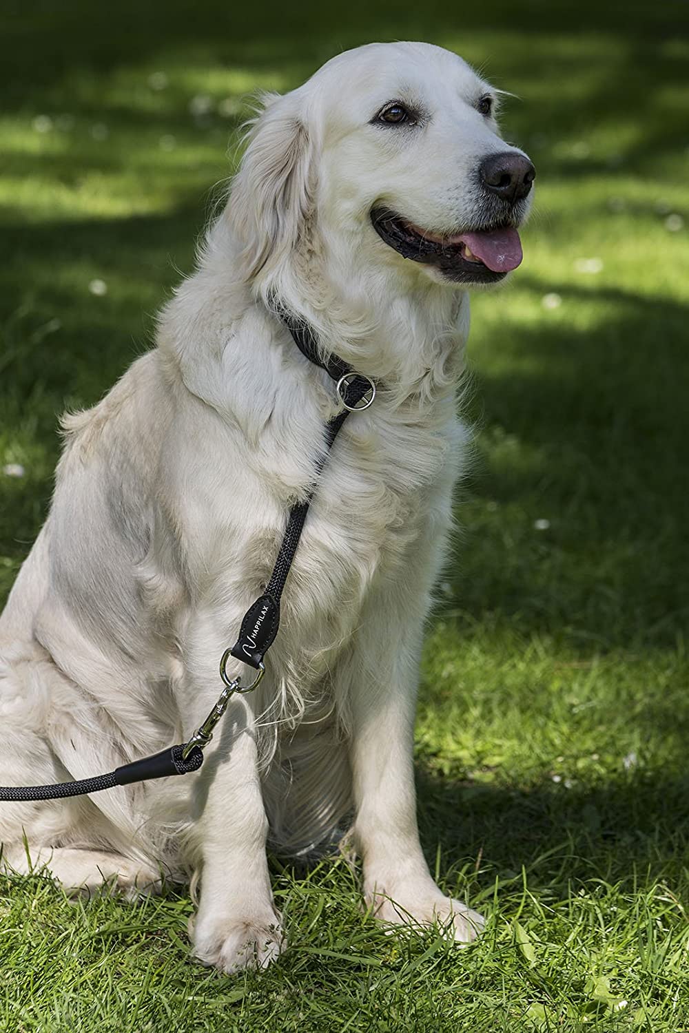  Happilax - Collar de Cuerda para Perro Mediano con Tope Ajustable 