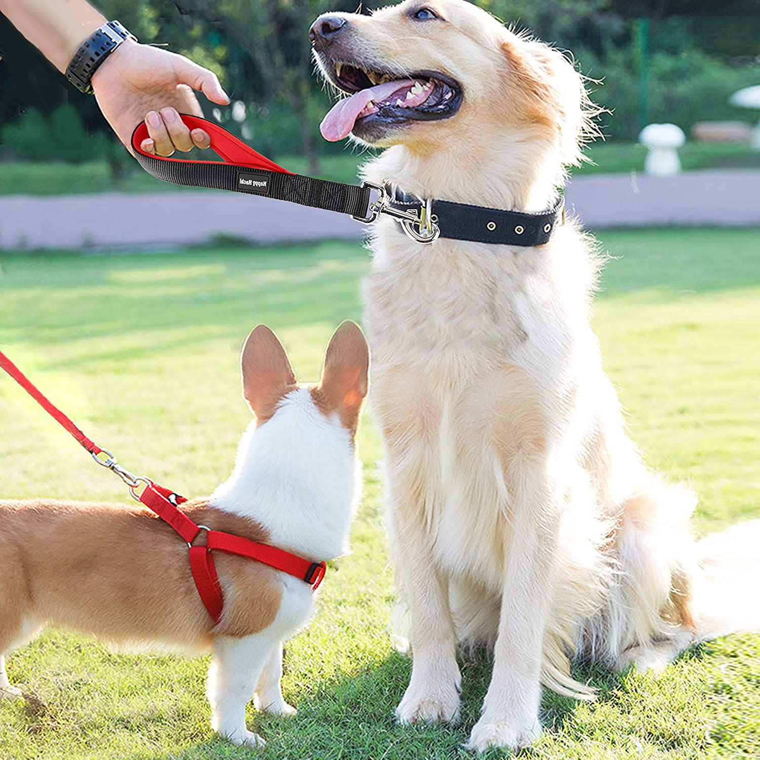  HAPPY HACHI Correa Corta para Perro con Mango Acolchado Correas Nylon para Entrenamiento Caminar para Perros Medianos Grande(M, Negro) 