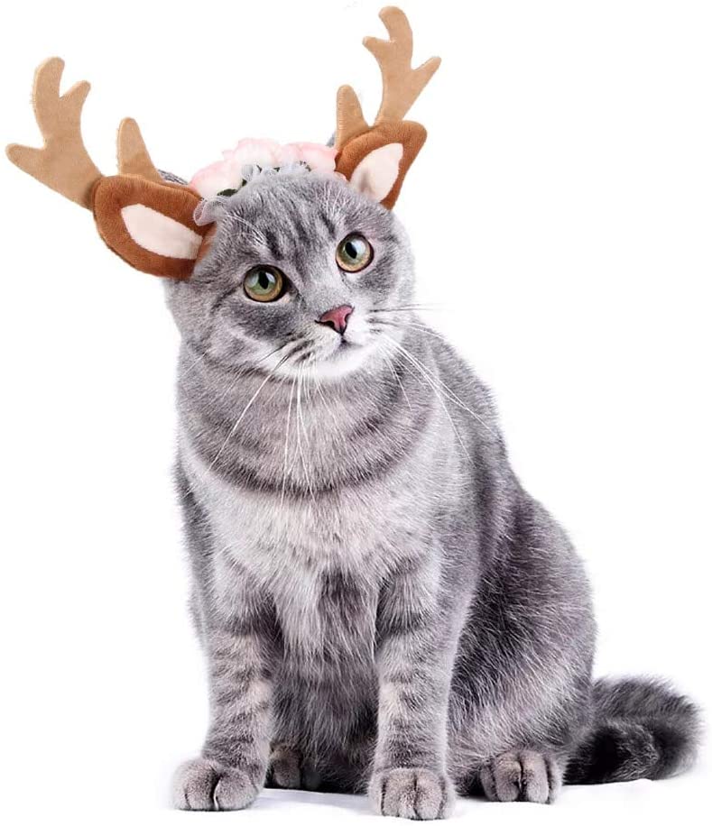  hhuanxiao Ropa para Mascotas Perros Gato Reno Diadema Gorra para Gato Xmas Traje de Pelo decoración Mascota elce Cornamenta Lindo Sombreros Cachorro Ciervo Cuernos Tapas Tocado 