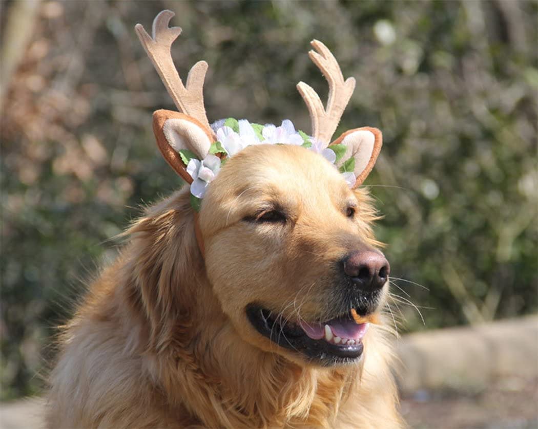  Hillento perro alce cornamenta reno gorra perro gato mascota con flores navidad reno cornamentas orejas vestibles para perros pequeños / medianos / grandes, M 