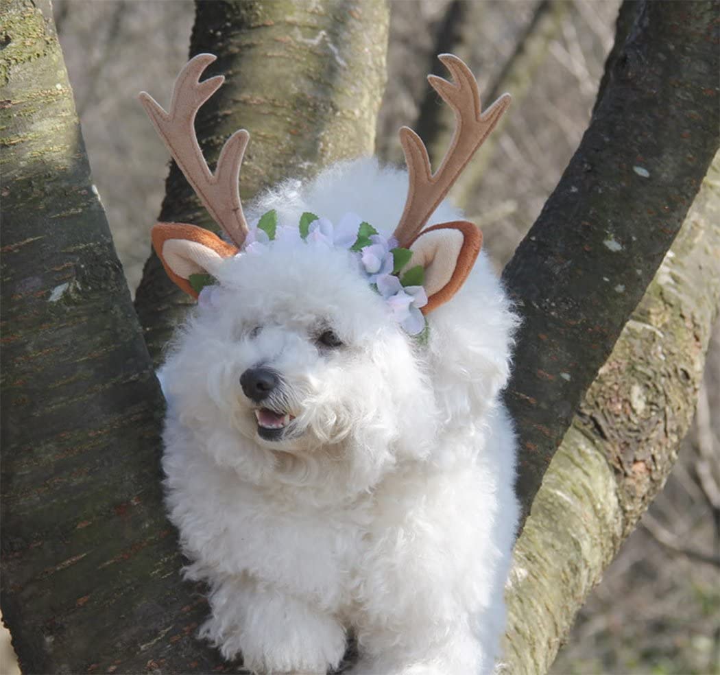  Hillento perro alce cornamenta reno gorra perro gato mascota con flores navidad reno cornamentas orejas vestibles para perros pequeños / medianos / grandes, M 